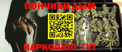 мдпв Будённовск
